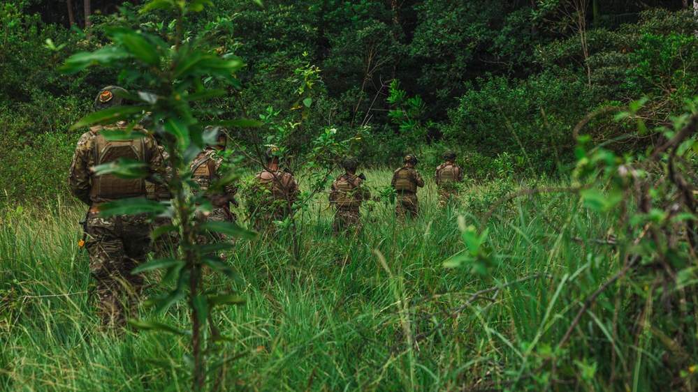 A group of military personnel in camouflage uniforms and tactical gear are moving through dense, overgrown vegetation toward a treeline. The soldiers are walking in a patrol formation through tall grass and shrubs. The image appears to document a field training exercise or operational patrol in a jungle or subtropical environment.