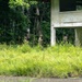 The image shows four individuals in military or tactical gear moving through tall grass near an abandoned or dilapidated two-story concrete building marked 'A 503'. The personnel are wearing helmets and camouflage uniforms and appear to be conducting a tactical training exercise or patrol in an overgrown area. The setting suggests a military training facility with deteriorating infrastructure surrounded by dense tropical or subtropical vegetation.