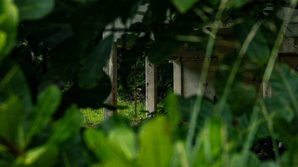 The image shows an abandoned or partially destroyed concrete structure viewed through dense tropical foliage in the foreground. The building appears to be in a state of disrepair, with overgrown vegetation reclaiming the interior space. A partially obscured figure appears to be present within the structure, visible through gaps in the foreground leaves.