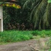 A group of soldiers in full combat gear and camouflage uniforms are positioned in dense tropical vegetation near a roadside structure, appearing to conduct a tactical patrol or training exercise. The setting is a lush, jungle-like environment with banana trees, palm trees, and overgrown grass. A weathered white sign or bus shelter structure marked 'B 502' is visible in the foreground.