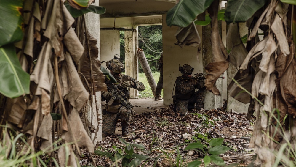 Two armed military personnel in full combat gear are positioned inside a deteriorating concrete structure surrounded by dense tropical vegetation. They appear to be conducting a tactical clearing or reconnaissance operation, with one soldier kneeling and aiming a rifle while the other observes. The setting suggests a jungle or tropical environment, consistent with a training exercise or operational scenario.