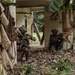 Two armed military personnel in full combat gear are positioned inside a deteriorating concrete structure surrounded by dense tropical vegetation. They appear to be conducting a tactical clearing or reconnaissance operation, with one soldier kneeling and aiming a rifle while the other observes. The setting suggests a jungle or tropical environment, consistent with a training exercise or operational scenario.
