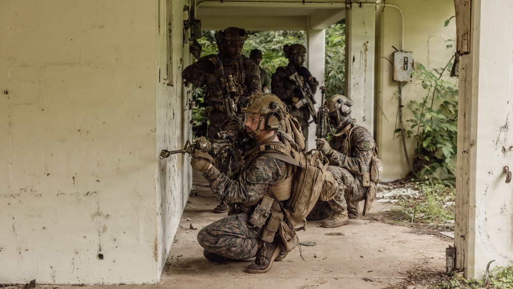 A group of military personnel in full combat gear are conducting what appears to be a tactical building clearance or urban warfare training exercise. The soldiers are positioned in a stacked formation along a corridor of a deteriorated structure, with the lead soldier kneeling and aiming a rifle around a corner. The setting appears to be an abandoned or dilapidated building surrounded by dense tropical vegetation.