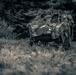 A military armored vehicle is positioned at the edge of a treeline, partially concealed with camouflage netting draped over its front. The image is rendered in a dark, desaturated tonal style giving it a moody, archival quality. The vehicle appears to be stationary in a field setting, consistent with a tactical concealment or observation position.