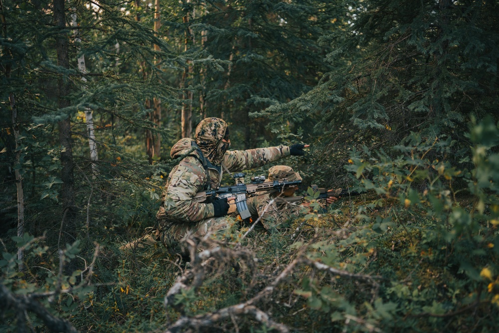 Two individuals in full camouflage military-style gear are positioned in a dense forest setting. The foreground figure is crouching and pointing in a direction while holding an assault-style rifle with an optic sight. A second figure in a boonie hat is visible in the background, also holding a firearm in a prone or low position.