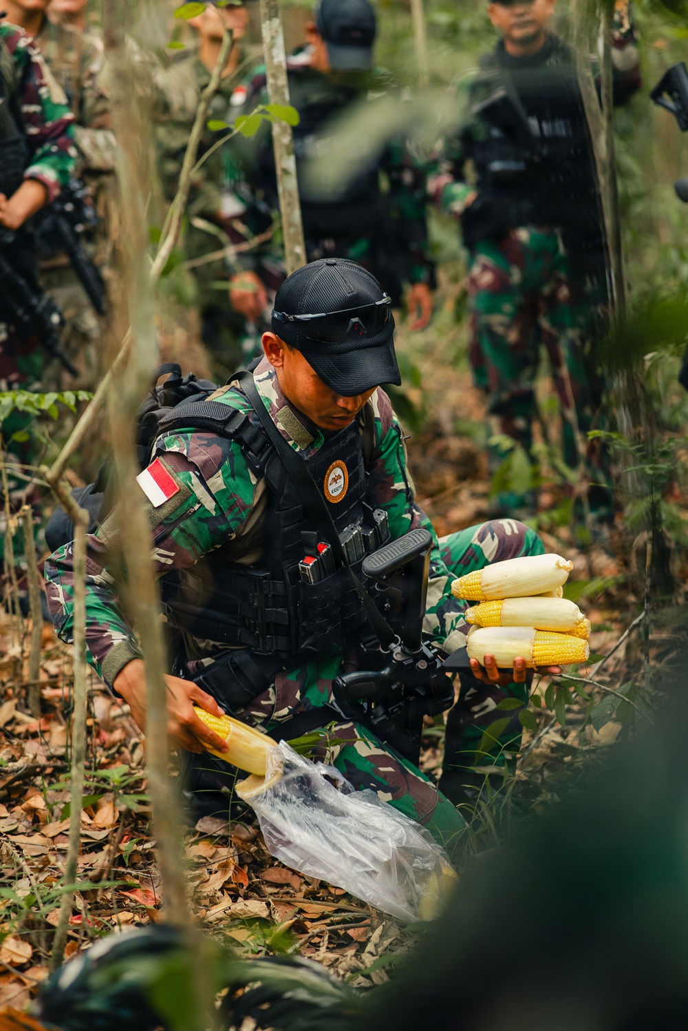 An Indonesian military soldier in camouflage uniform and tactical vest is crouching in a forested area, handling multiple ears of corn being placed into a clear plastic bag. Several other armed soldiers in camouflage and black tactical gear are visible in the background. The scene appears to depict a field operation involving the collection or documentation of agricultural items.