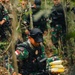 An Indonesian military soldier in camouflage uniform and tactical vest is crouching in a forested area, handling multiple ears of corn being placed into a clear plastic bag. Several other armed soldiers in camouflage and black tactical gear are visible in the background. The scene appears to depict a field operation involving the collection or documentation of agricultural items.