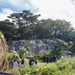 A group of approximately 8-10 people are walking through a grassy, overgrown area toward a large rocky cliff face covered with dark, layered geological formations or possibly tarpaulin/sheeting material. The scene is viewed through a metal railing in the foreground, with lush tropical vegetation surrounding the path. Large trees crown the top of the rocky formation under a partly cloudy sky.