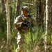 A fully equipped soldier in MultiCam/OCP camouflage uniform is conducting a patrol through a mixed forest environment with birch and pine trees. The soldier is carrying an assault rifle and wearing full combat gear including a tactical helmet with mounted accessories. The image appears to be a professional military photograph taken during a training exercise or operational patrol.