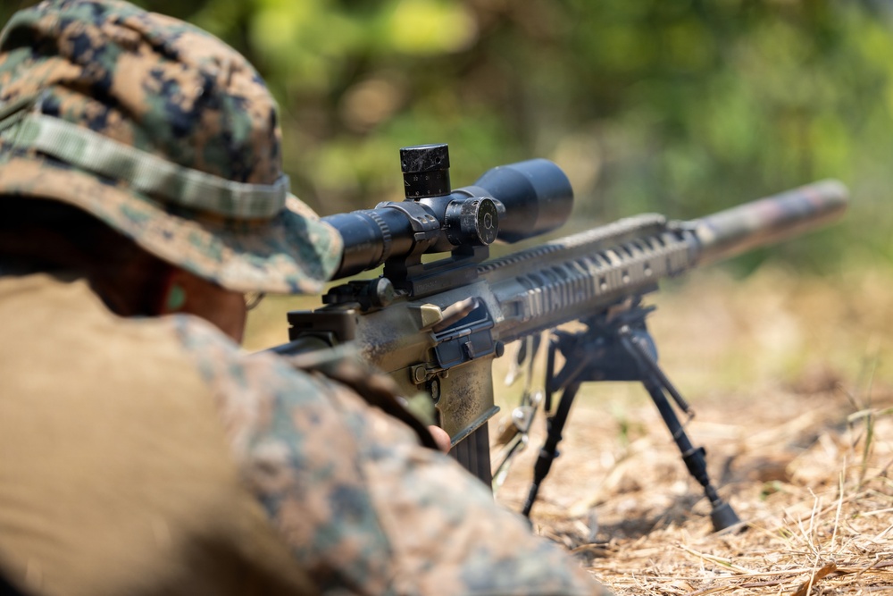 A military personnel in MARPAT (Marine pattern) camouflage uniform is in a prone shooting position with a scoped rifle supported by a bipod. The shooter is aiming downrange in an outdoor environment with natural ground cover. The image appears to depict a marksmanship training or field exercise scenario.