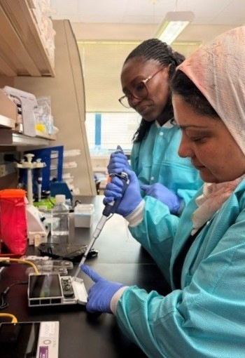NAMRU EURAFCENT scientists train on diagnostic technology at NMRC