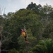 A military or rescue personnel in camouflage uniform is being hoisted by a cable/hoist system while carrying or securing a person wearing a bright orange and yellow life vest or rescue harness. The operation appears to be a helicopter hoist rescue or training exercise conducted over a tropical forested area. The rescuer is looking upward toward the cable attachment point while suspended mid-air.