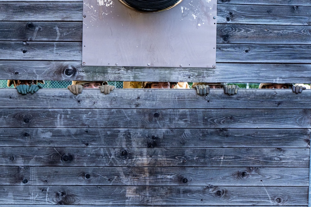 Several people are peering over the top edge of a weathered gray wooden wall or fence, with only their eyes and gloved hands visible above the plank. The image is shot straight-on, creating a symmetrical, humorous composition. A metal panel is mounted on the upper portion of the wooden structure.