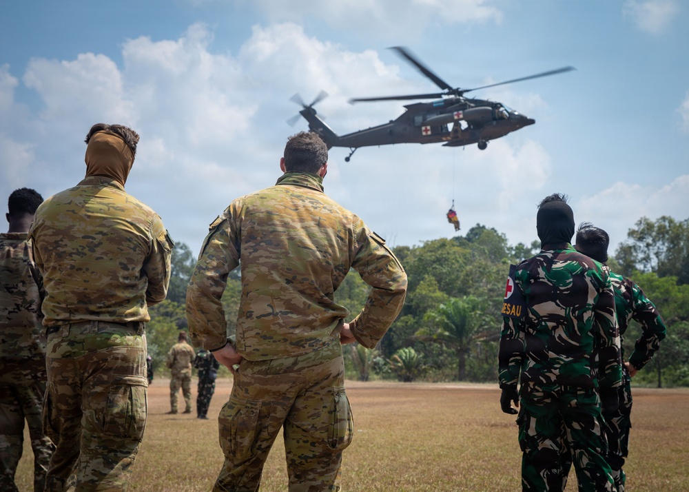 Military personnel from multiple nations observe a medical evacuation (MEDEVAC) helicopter hoist operation on an open field. A UH-60 Black Hawk helicopter marked with a Red Cross symbol is performing a hoist extraction, lifting what appears to be a person or litter. The scene appears to be a joint multinational military training exercise.