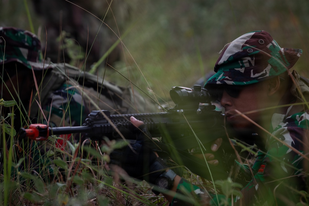 A soldier in camouflage uniform is lying prone in tall grass, aiming a rifle equipped with an optical scope. A second soldier is partially visible in the background. The setting appears to be a field training exercise based on the environment and equipment visible.