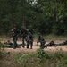 A group of soldiers in camouflage uniforms are conducting a military field training exercise in a forested clearing. Some personnel are in prone firing positions on the ground while others stand or crouch in tactical stances, all carrying rifles. A small green flag is visible on the right side, likely marking a position or boundary.