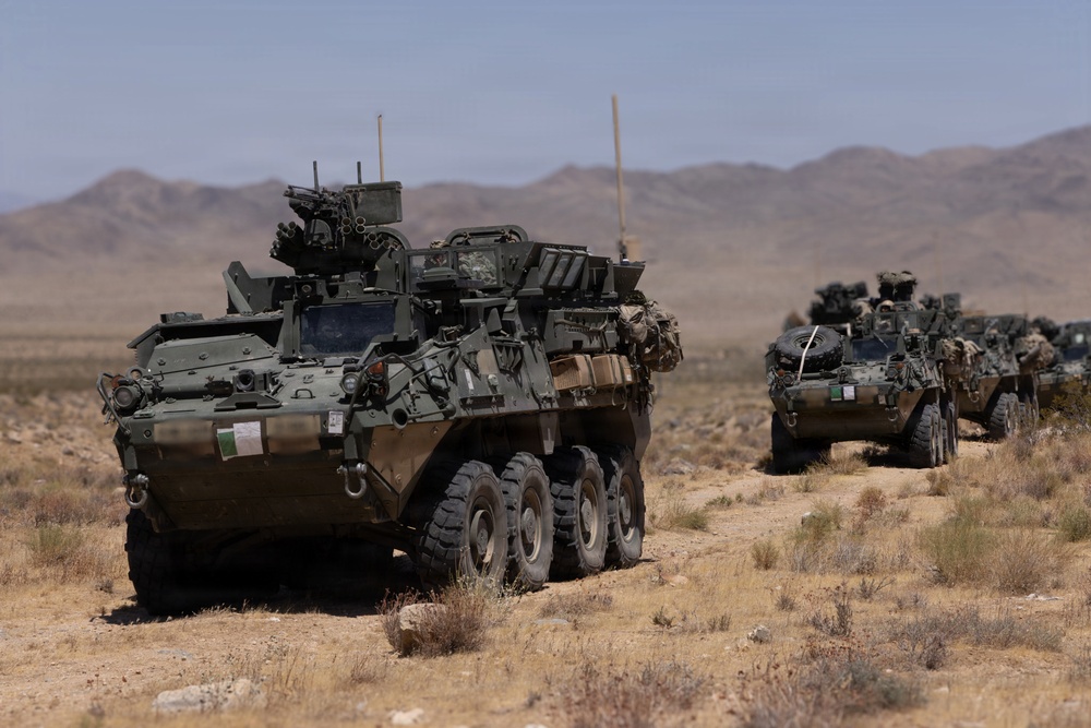 The image shows a column of at least two wheeled armored fighting vehicles traversing arid desert terrain with mountains visible in the background. The vehicles appear to be LAV-type or Stryker-type 8-wheeled armored personnel carriers equipped with weapon systems and communications equipment. Personnel are visible in the turret hatches of the vehicles, suggesting an active patrol or convoy operation.