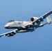 A U.S. Air Force A-10 Thunderbolt II (Warthog) attack aircraft is captured in flight against a clear blue sky. The aircraft features the iconic shark mouth nose art and is carrying external stores on its wing pylons. Tail code 'FT' is visible, indicating assignment to the 23rd Wing at Moody Air Force Base, Georgia.