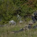 Three armed military personnel are conducting what appears to be a field training exercise in a grassy, rocky terrain with dense vegetation in the background. Two soldiers are standing and moving in tactical positions while a third is prone on the ground in a designated marksman or support position. All personnel are equipped with rifles, tactical vests, and helmets.