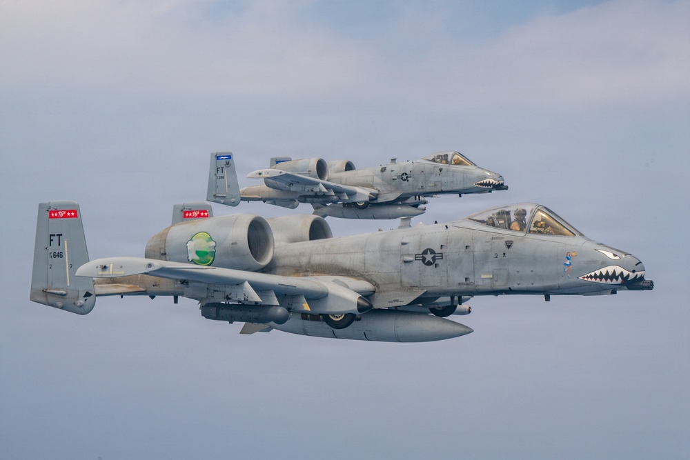Two U.S. Air Force A-10 Thunderbolt II (Warthog) aircraft flying in close formation against an overcast sky. Both aircraft display shark mouth nose art and carry underwing ordnance/stores. The tail codes and markings indicate they belong to the same unit, with 'FT' tail codes and red unit designator badges visible.