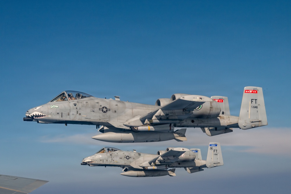 Two U.S. Air Force A-10 Thunderbolt II (Warthog) aircraft flying in formation against a clear blue sky. Both aircraft display the characteristic shark mouth nose art and carry underwing ordnance/fuel tanks. The tail codes 'FT' and serial numbers 646 and 696 are visible, indicating assignment to Moody Air Force Base.