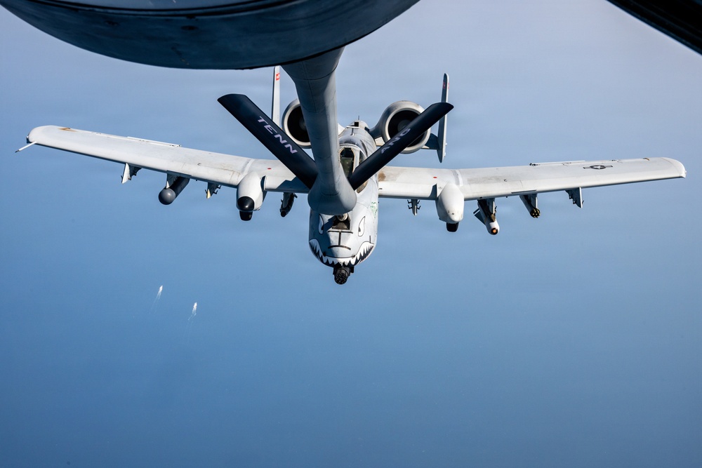 An A-10 Thunderbolt II (Warthog) attack aircraft is conducting aerial refueling, connected to a tanker aircraft's refueling boom visible at the top of the frame. The A-10 features a distinctive shark mouth nose art and markings indicating it belongs to a Tennessee Air National Guard unit. The photograph is taken from the tanker aircraft looking down at the receiver aircraft against a clear blue sky.