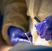 State Partners Train For Real World Medical Emergencies