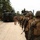 BLT 3/6, 24th MEU, conducts mechanized raids