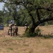 Three military personnel in camouflage uniforms and tactical gear are gathered near shooting range targets in an open field. The targets are numbered 12 and 13, with circular black-and-white scoring targets visible on stands. The setting appears to be an outdoor military training range with dry grassland and oak trees in the background.