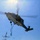 24th MEU begins first major “work-up” exercise