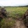 24th MEU completes first major 'work-up'
