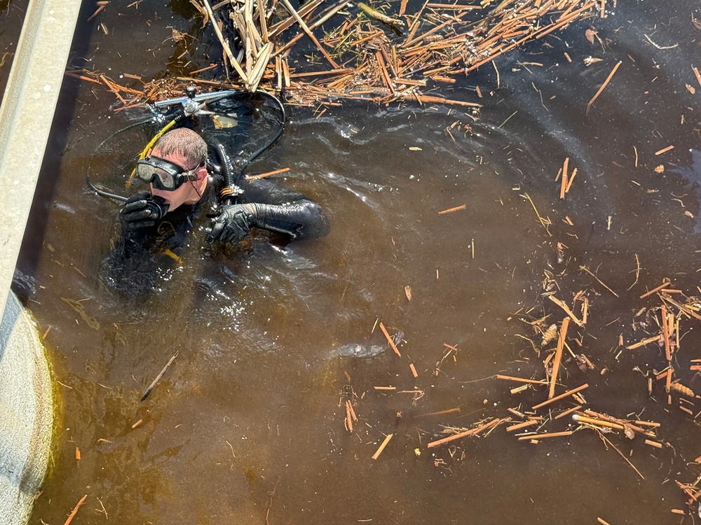 A scuba diver in full black wetsuit and diving gear is partially surfaced in murky, debris-filled brown water, photographed from above. The water contains numerous pieces of dead reeds, sticks, and organic debris floating on the surface. The diver appears to be conducting an underwater search or inspection operation near a structure.