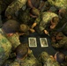 24th MEU conducts R&amp;S Insert
