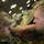 24th MEU conducts R&amp;S Insert