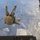 24th MEU conducts R&amp;S Insert