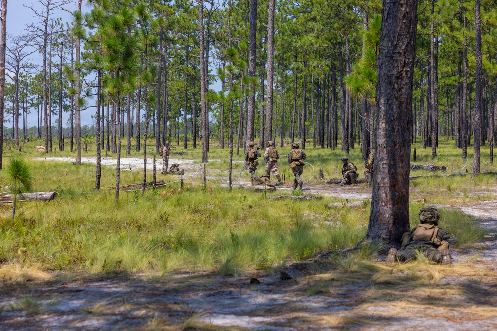 A group of military personnel in camouflage uniforms are conducting a field training exercise in a sparse pine forest with sandy, grassy terrain. Several soldiers are visible at varying distances, with one positioned close to a large pine tree in the foreground and a small group gathered in the middle distance. The environment appears to be a southeastern U.S. military training area, consistent with longleaf pine flatlands.