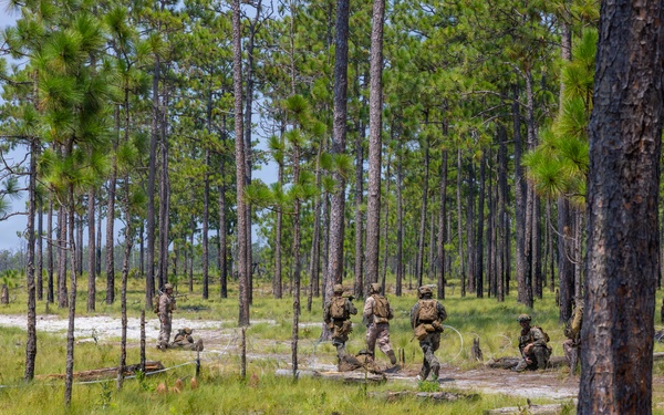 A group of military personnel in camouflage uniforms are conducting a field training exercise in a sparse pine forest with sandy, grassy terrain. Several soldiers are visible at varying distances, with one positioned close to a large pine tree in the foreground and a small group gathered in the middle distance. The environment appears to be a southeastern U.S. military training area, consistent with longleaf pine flatlands.