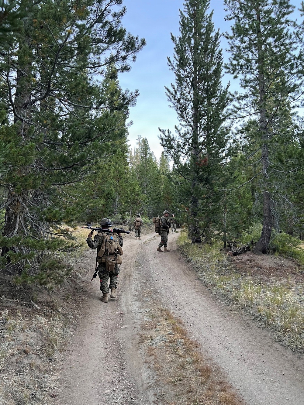 A group of military personnel in camouflage uniforms are conducting a patrol or road march along a dirt trail through a pine forest. The lead soldier is carrying what appears to be a large tube-launched weapon system (likely an AT4 or similar anti-tank rocket launcher) on their shoulder. The setting appears to be a training environment in a mountainous or high-elevation forested area.