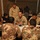 U.S. Marines, Jordanian leaders discuss weapons at Eager Lion