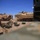 24th MEU AAVs, Tanks, conduct live-fire exercise