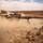 Snipers conduct live-fire exercise during Exercise Eager Lion