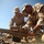 Snipers conduct live-fire exercise during Exercise Eager Lion