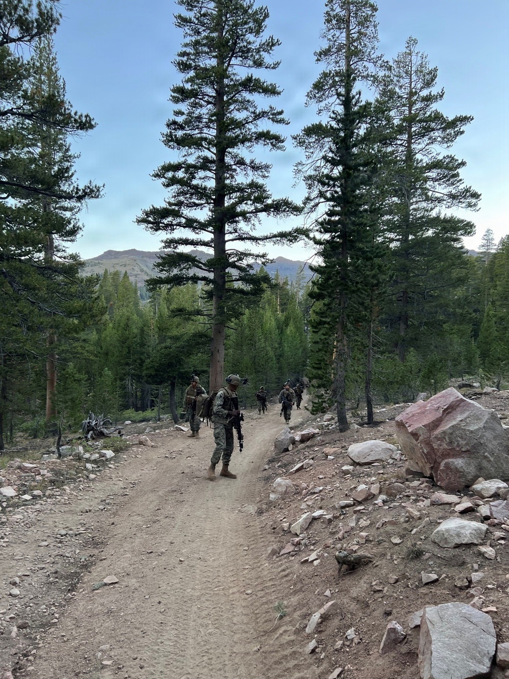 A group of military personnel in combat gear and camouflage uniforms are conducting a patrol or training exercise along a dirt trail through a mountainous conifer forest. The soldiers are carrying rifles and tactical equipment while moving in a dispersed formation up the path. The setting appears to be a high-altitude wilderness area with tall pine trees, rocky terrain, and mountain peaks visible in the background.