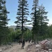 A group of military personnel in combat gear and camouflage uniforms are conducting a patrol or training exercise along a dirt trail through a mountainous conifer forest. The soldiers are carrying rifles and tactical equipment while moving in a dispersed formation up the path. The setting appears to be a high-altitude wilderness area with tall pine trees, rocky terrain, and mountain peaks visible in the background.