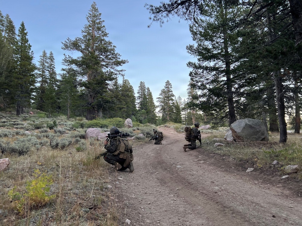 Three military personnel in full combat gear and camouflage uniforms are kneeling in tactical positions along a dirt trail in a forested, high-elevation terrain. They appear to be conducting a patrol halt or tactical movement exercise, with weapons raised or at the ready. The environment features pine trees, sagebrush, granite boulders, and a clear sky consistent with a mountainous western U.S. landscape.