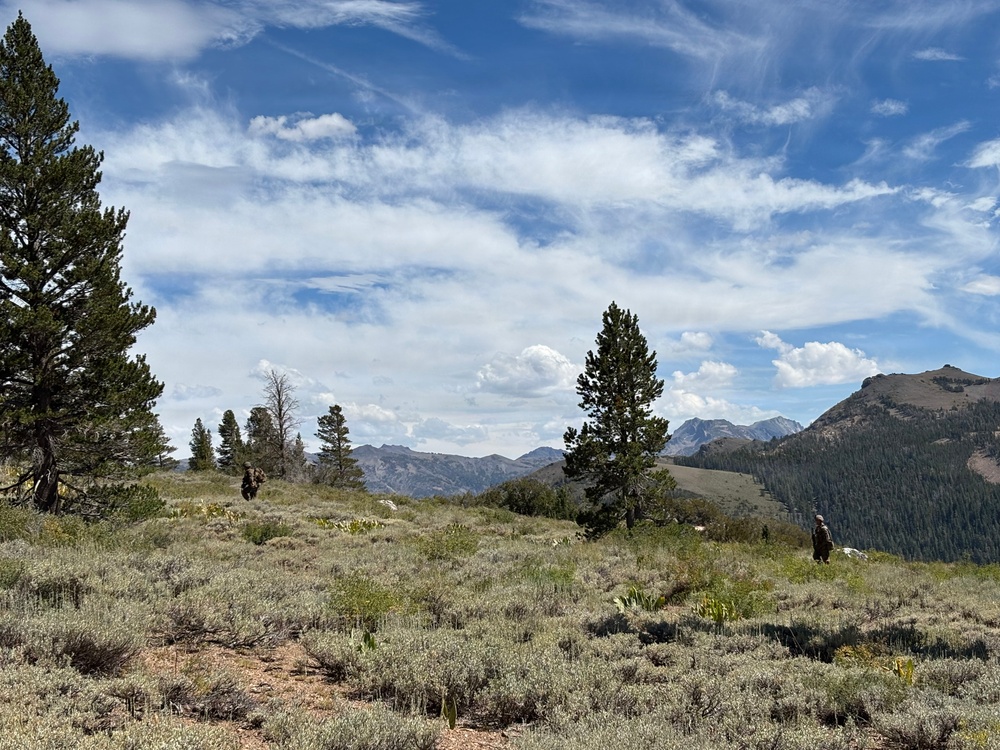 A wide open mountain landscape featuring a grassy, sagebrush-covered meadow with scattered conifer trees and distant mountain peaks under a partly cloudy blue sky. Two human figures are visible in the mid-ground, appearing small against the expansive terrain. The scene suggests a high-elevation wilderness area, likely in the western United States.