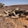 US Marines let bullets fly in the Jordan desert