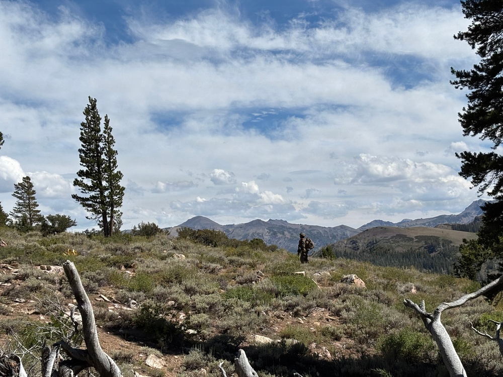 A lone figure wearing camouflage and carrying a backpack stands on a high-elevation ridge overlooking a sweeping mountain landscape. The terrain features sparse sagebrush, scattered rocks, dead fallen timber, and a few conifer trees typical of subalpine environments. A dramatic sky with cumulus clouds frames rugged mountain peaks in the background.