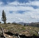 A lone figure wearing camouflage and carrying a backpack stands on a high-elevation ridge overlooking a sweeping mountain landscape. The terrain features sparse sagebrush, scattered rocks, dead fallen timber, and a few conifer trees typical of subalpine environments. A dramatic sky with cumulus clouds frames rugged mountain peaks in the background.