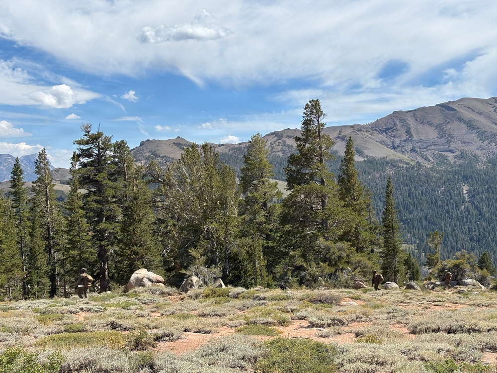 A high-elevation mountain landscape featuring a mix of conifer trees, scattered granite boulders, and low alpine shrubby vegetation in the foreground. Rugged, largely treeless mountain peaks dominate the background under a partly cloudy blue sky. The terrain and vegetation are consistent with a Sierra Nevada or similar western U.S. alpine environment.